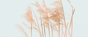 Illustration von Gräsern im Wind vor einem hellblauen Hintergrund.